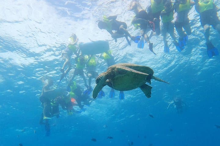 Snorkel with Hawaiian Turtles: Sea Scooters & Paddleboard Adventure Oahu photo 4