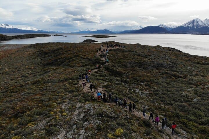 Sail the Beagle Channel: Wildlife, Yámana Middens & Les Eclaireurs Lighthouse photo 5