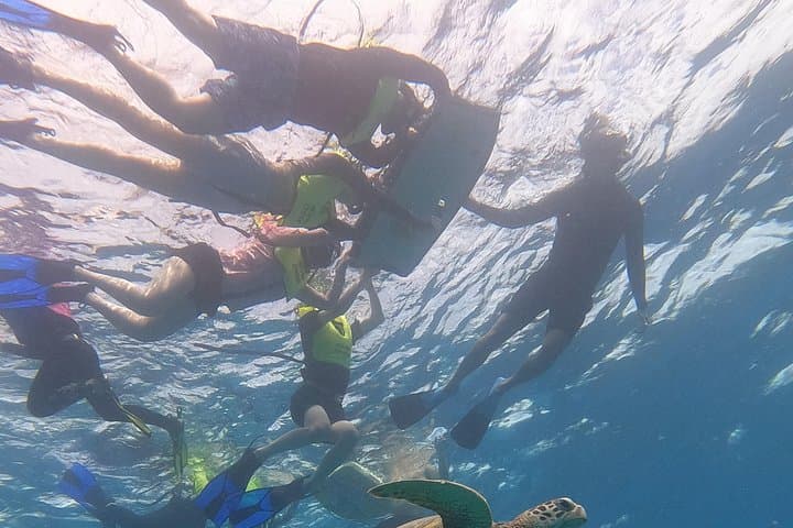 Snorkel with Hawaiian Turtles: Sea Scooters & Paddleboard Adventure Oahu photo 5