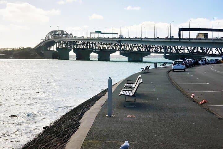 Auckland Half-Day Private Guided Tour: Harbour Views, Volcanic Rims & Coastal Strolls photo 2
