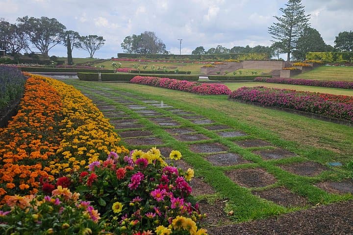 Auckland Half-Day City Tour: Mount Eden, Mission Bay & Harbour Highlights photo 3