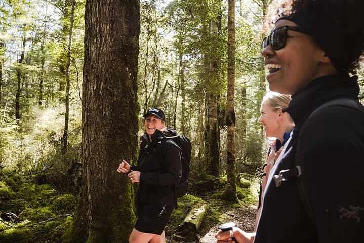Hike to Lake Marian: Fiordland’s Hanging Valley Walk from Te Anau photo 3
