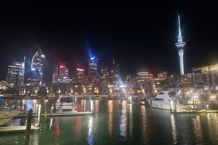 Auckland Half-Day Private Guided Tour: Harbour Views, Volcanic Rims & Coastal Strolls