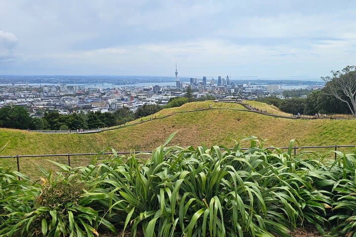Auckland Half-Day Private Guided Tour: Harbour Views, Volcanic Rims & Coastal Strolls photo 6