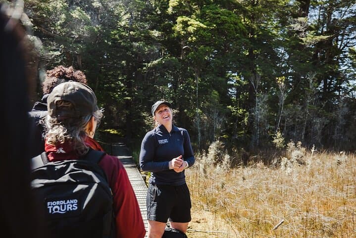 Guided Routeburn Track Day Hike to Key Summit from Te Anau photo 2