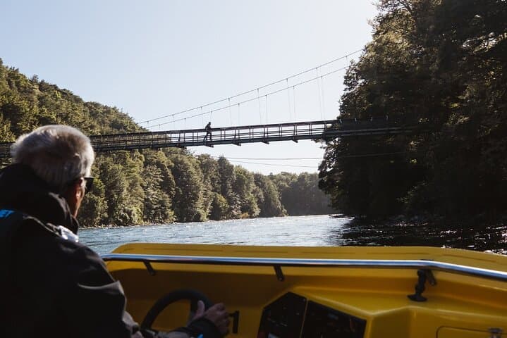 Kepler Track Jetboat & Guided Hike from Te Anau: Lake Manapouri Day Trip photo 2