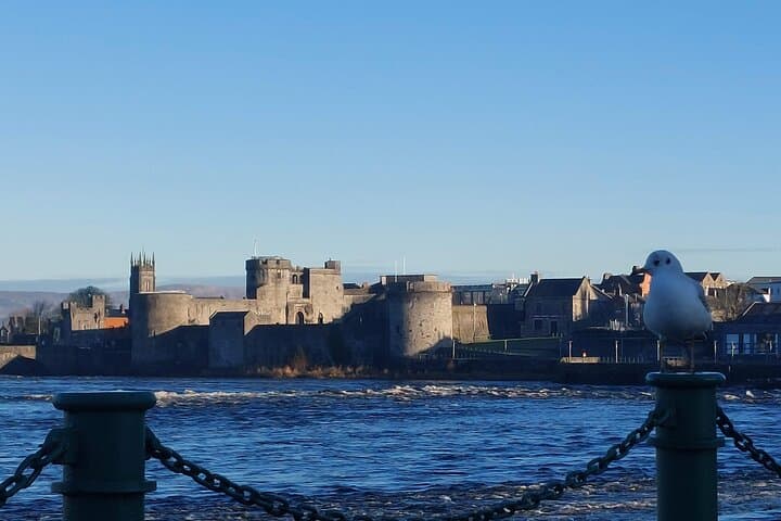 Cliffs of Moher, Bunratty Castle & Limerick: Private Day Tour from Galway