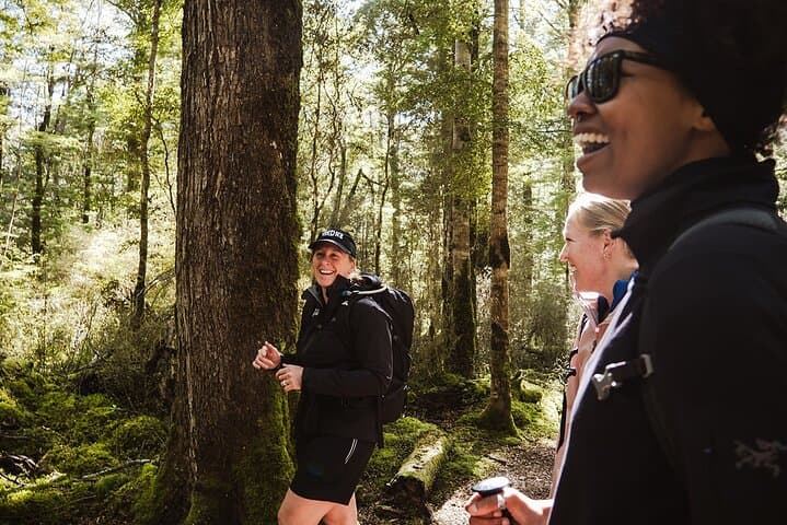 Guided Routeburn Track Day Hike to Key Summit from Te Anau photo 6