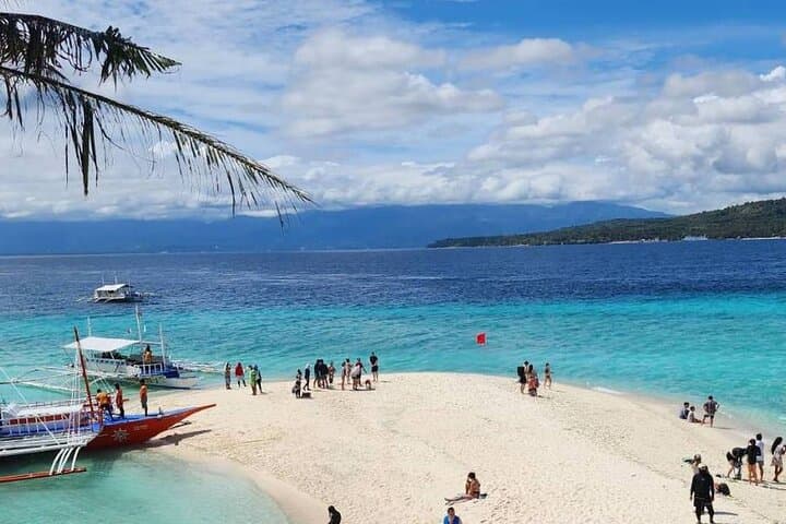Swim with Oslob Whale Sharks, Sumilon Island Sandbar & Tumalog Falls — Full-Day Adventure photo 4