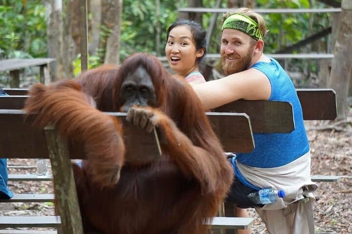 3-Day Tanjung Puting Orangutan & Klotok River Cruise: Camp Leakey Adventure photo 3