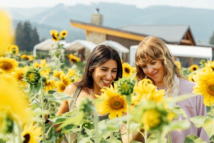 Hood & Columbia Loop: Timberline Lodge, Hood River Orchards and Columbia Gorge Waterfalls photo 4