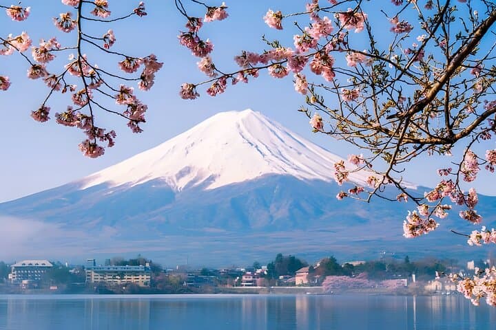 Mount Fuji Day Trip from Tokyo: Kawaguchiko Ropeway & Matcha Tea Matcha Experience