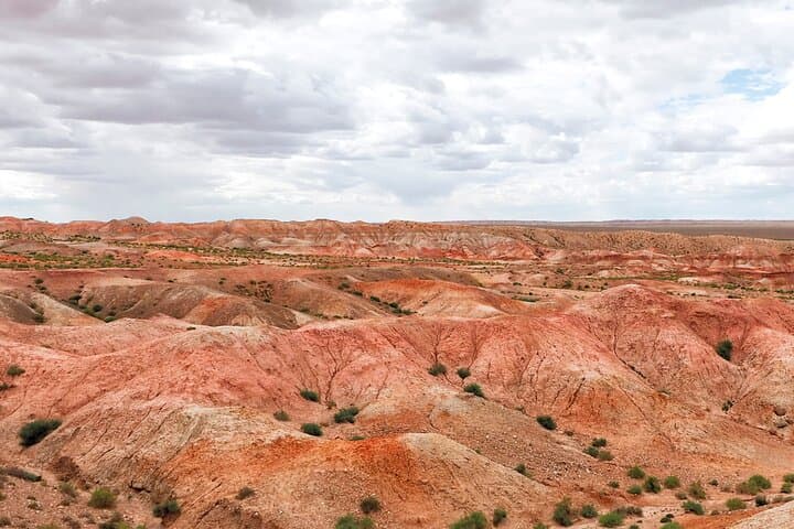Exploring the Middle Gobi Desert: A Small-Group Glamping Adventure in Mongolia photo 6