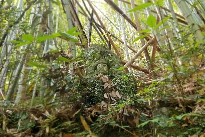 Walk the Kyushu Saigoku Pilgrimage: 270 Stone Buddhas Near Beppu