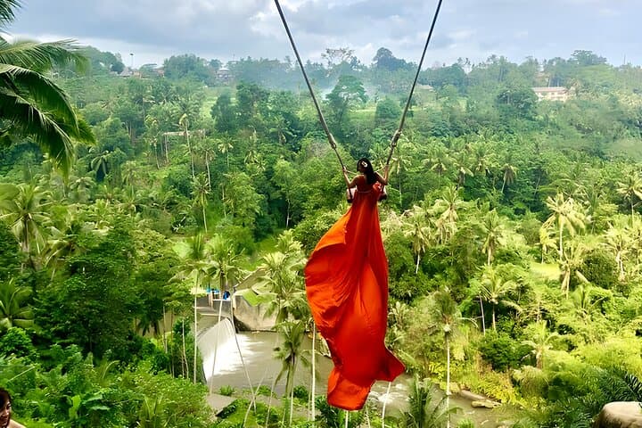 Bali Swing & Ubud Cultural Highlights: Swing, Monkeys and Rice Terraces photo 6