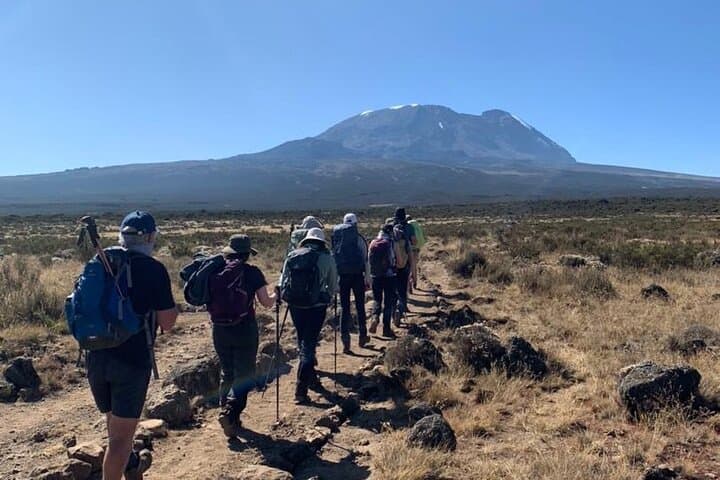 Kilimanjaro Day Hike to Shira Plateau: High-Altitude Views without the Summit photo 2