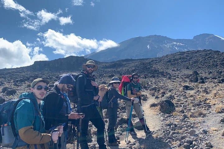 Kilimanjaro Day Hike to Shira Plateau: High-Altitude Views without the Summit photo 3