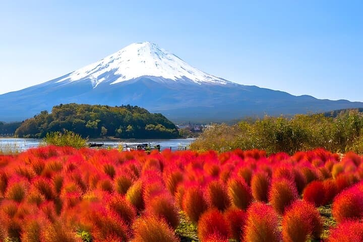 Mount Fuji Day Trip from Tokyo: Kawaguchiko Ropeway & Matcha Tea Matcha Experience photo 6