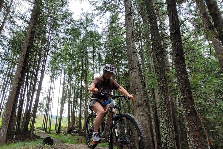 Mountain Biking Wells Gray: Candle Creek 36km Singletrack Adventure photo 3