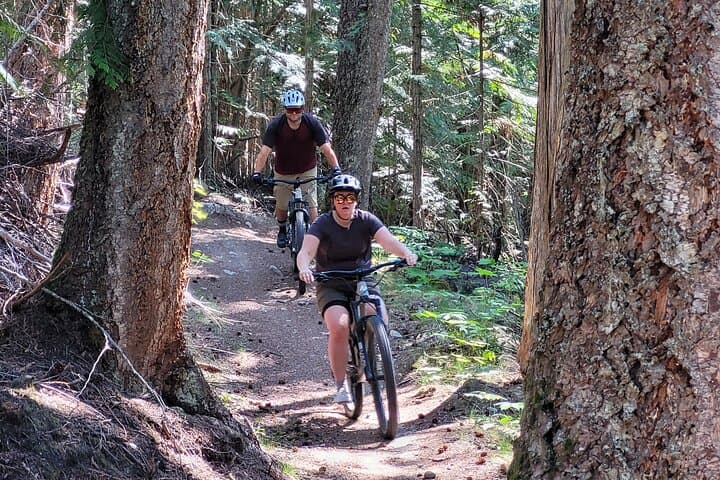 Mountain Biking Wells Gray: Candle Creek 36km Singletrack Adventure photo 6