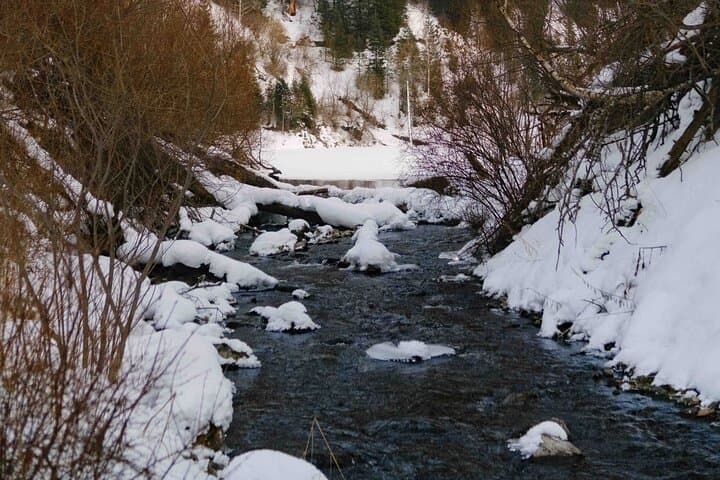 Two-Day Charyn Canyon, Kolsay & Kaindy Lakes Tour from Almaty photo 4
