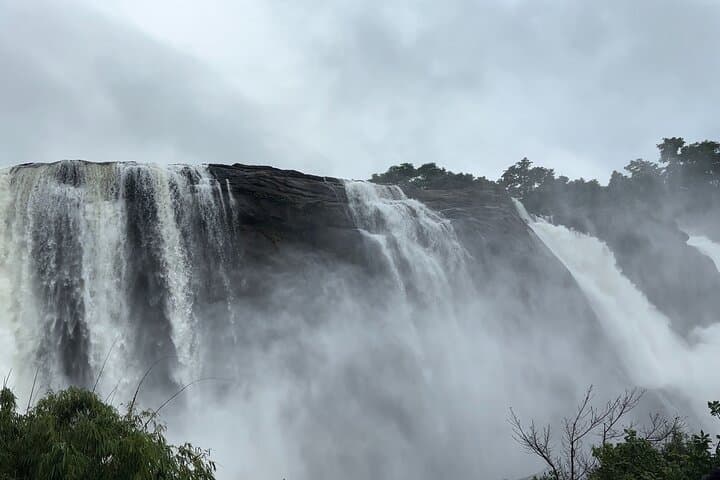 Athirappilly Waterfalls Day Trip from Kochi — Scenic Drive, Short Trek & Wildlife photo 2