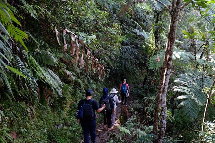 Waerebo Village Overnight: Trek to Mbaru Niang, Sunrise & Milky Way from Labuan Bajo photo 2