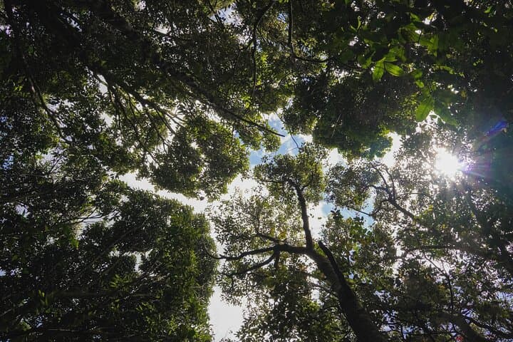 Da Lat Pine Forest Trek to Tuyen Lam Lake with Lakeside BBQ photo 2