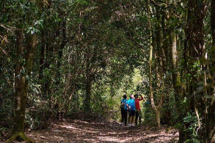 Da Lat Pine Forest Trek to Tuyen Lam Lake with Lakeside BBQ photo 5