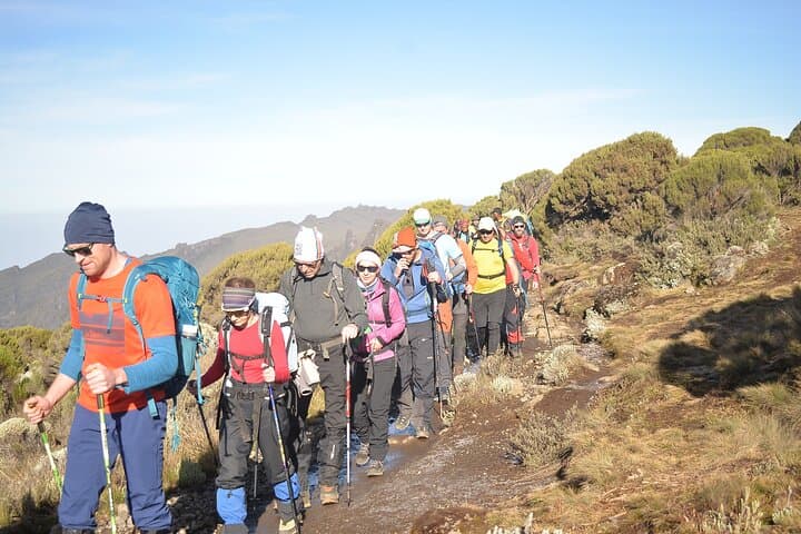 6-Day Kilimanjaro Rongai Route: Summit Uhuru Peak via Mawenzi Tarn photo 5