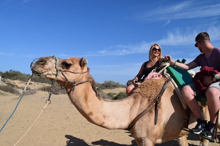 Camel Rides Across the Maspalomas Dunes: 30-Minute Camel Trek in Gran Canaria photo 2