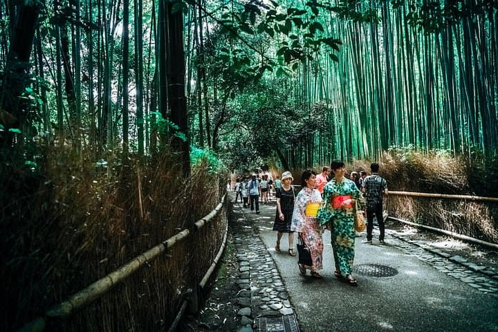 Early-Morning Kyoto: Fushimi-Inari, Arashiyama Bamboo Grove & Tenryu-ji Guided Walk photo 4