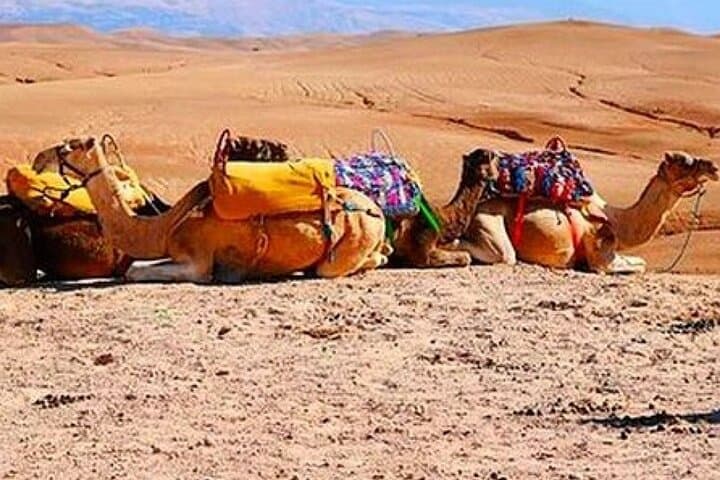 Agafay Desert Sunset: Camel Ride, Quad Bike & Dinner from Marrakech photo 4