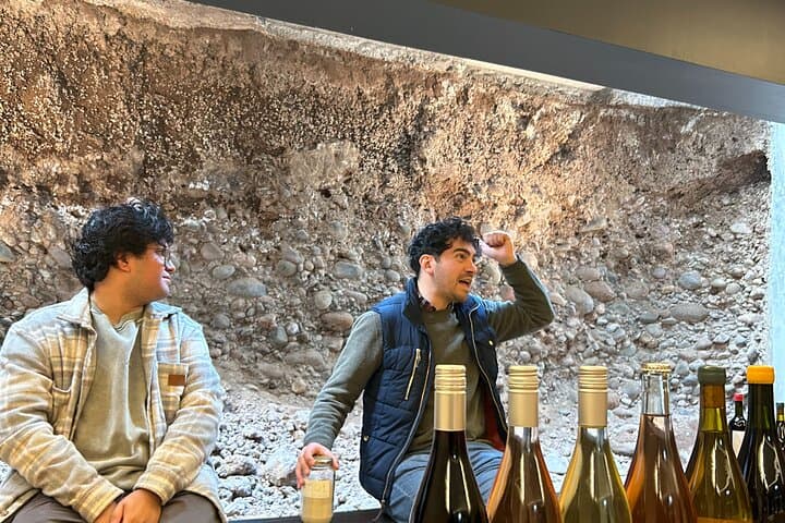 Lujan de Cuyo Hidden Wineries Tour With Wine Maker's Guide & Four-Course Pairing photo 5