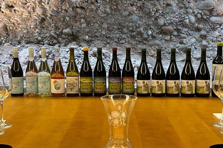 Lujan de Cuyo Hidden Wineries Tour With Wine Maker's Guide & Four-Course Pairing photo 6