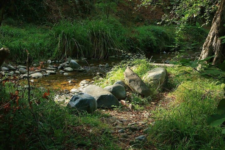 Troodos Mountains Private Day Tour from Limassol: Waterfalls, Wineries & Venetian Bridges photo 2