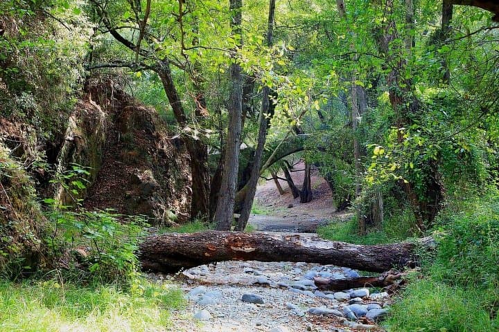 Troodos Mountains Private Day Tour from Limassol: Waterfalls, Wineries & Venetian Bridges photo 3