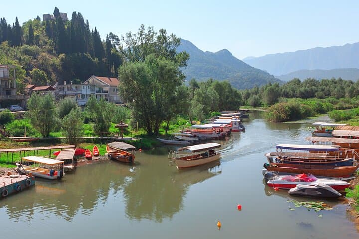 Shared Lake Skadar and Biogradska Gora Day Tour from Kotor photo 4