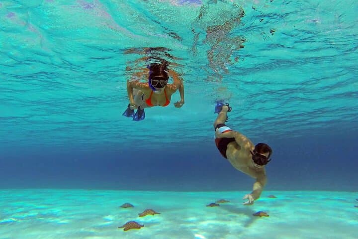 Snorkel El Cielo & Palancar: Full-Day Cozumel Tour from Cancún with Lunch photo 2