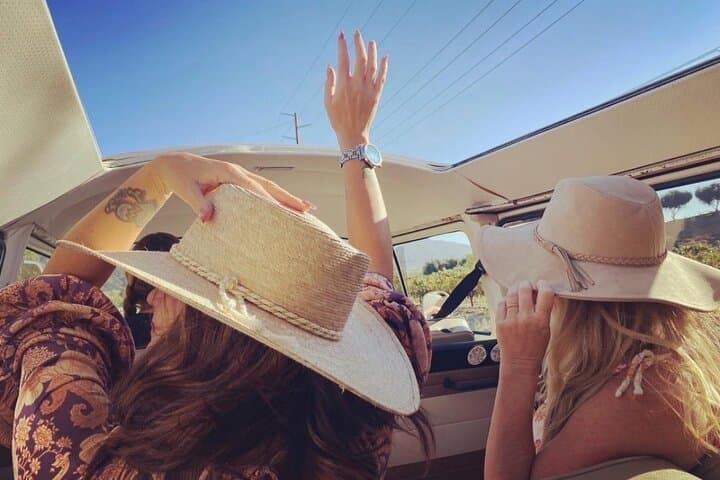 Private VW Bus Wine Tour in Temecula Valley: Vintage VW Wine Tasting Experience photo 5