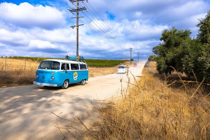 Private VW Bus Wine Tour in Temecula Valley: Vintage VW Wine Tasting Experience photo 6
