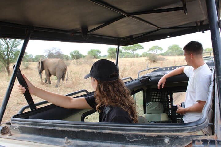Tarangire Day Safari: Private Guide & Open Jeep Wildlife Experience photo 5