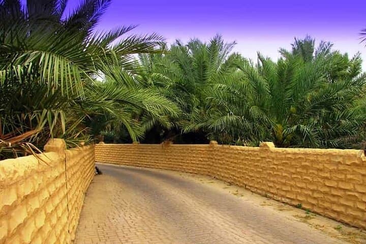 Al Ain City Tour: Discover the Oasis of the Emirates — Jebel Hafeet, Forts & Camel Market photo 2