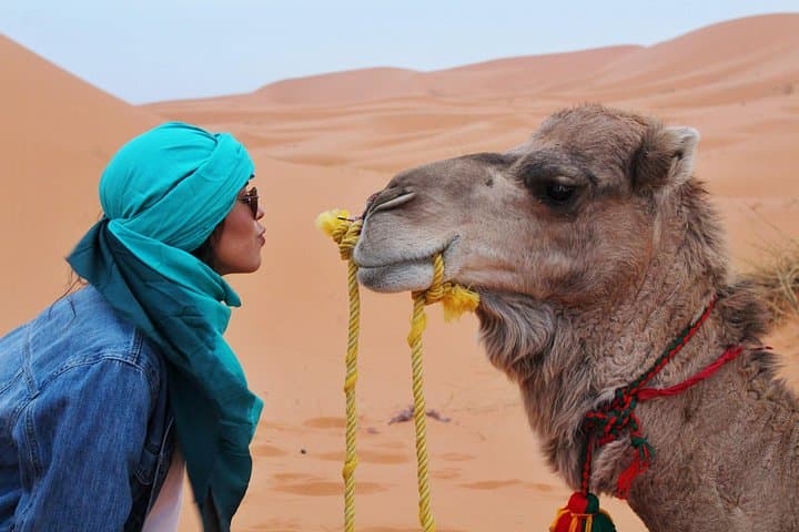 4-Day Marrakech to Merzouga Desert Tour — High Atlas Pass, Gorges & Erg Chebbi photo 1