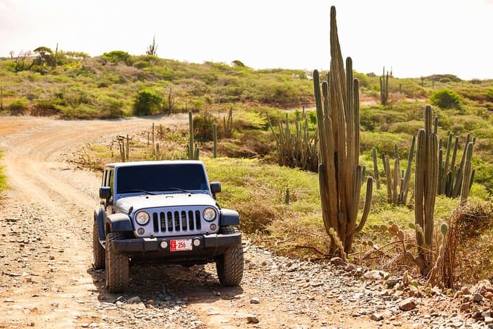 Private Customized Aruba 4x4 Jeep Adventure — Arikok Park, Natural Pool & Snorkel