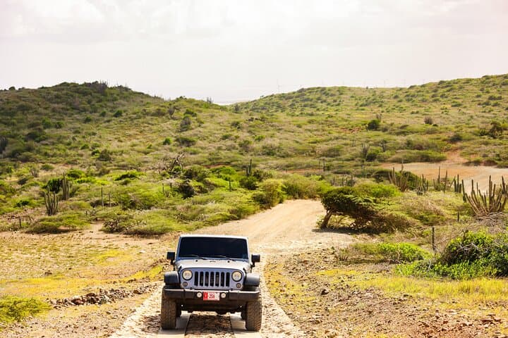 Private Customized Aruba 4x4 Jeep Adventure — Arikok Park, Natural Pool & Snorkel photo 2
