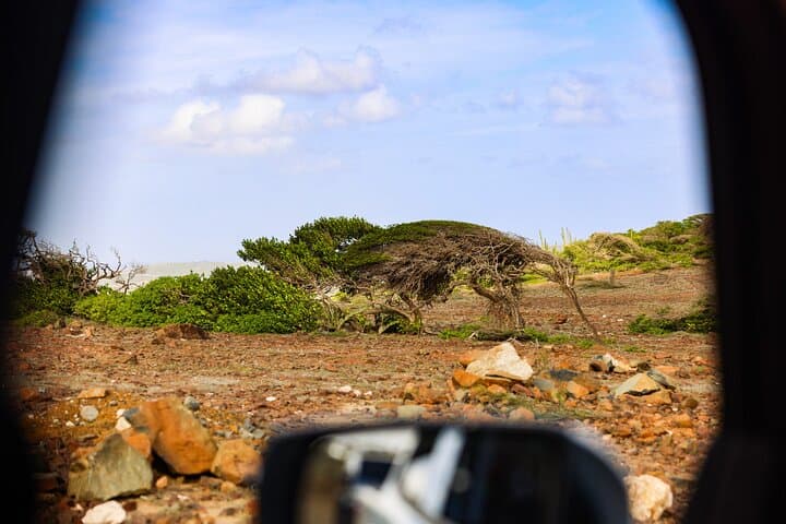 Private Customized Aruba 4x4 Jeep Adventure — Arikok Park, Natural Pool & Snorkel photo 4