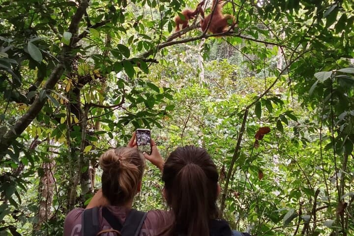 Jungle Immersion Trek: Orangutan Encounter & Jungle Camp Near Bukit Lawang photo 5