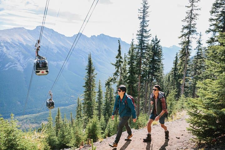 Banff Day Tour: Johnston Canyon & Banff Gondola from Calgary photo 2