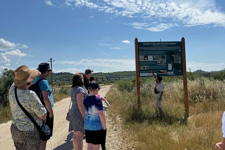 Birdwatching at Narta Lagoon & Akerni Dunes — Flamingos, Pelicans & Coastal Dunes Near Vlore photo 3